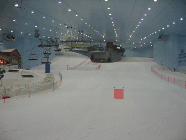 700.gif (151561 bytes)