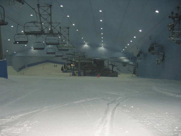 710.gif (176595 bytes)