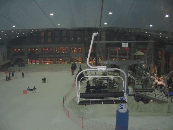 730.gif (192917 bytes)