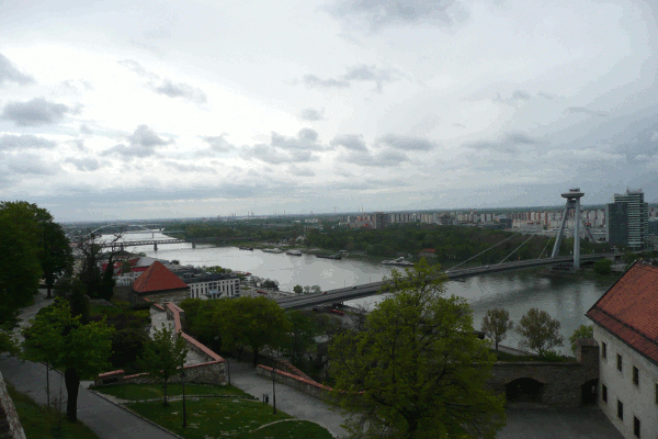 710.gif (144661 bytes)