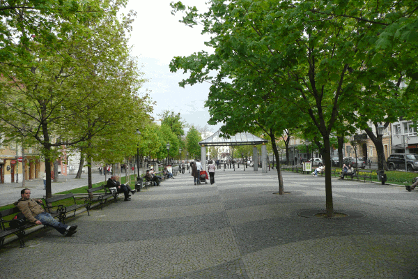 830.gif (197959 bytes)