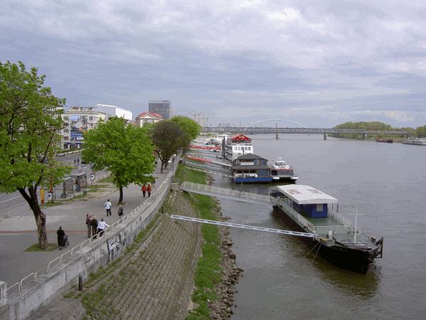 870.gif (154629 bytes)