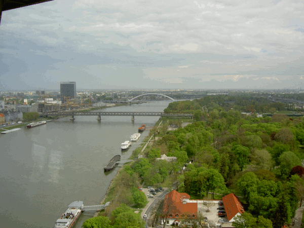 890.gif (139398 bytes)