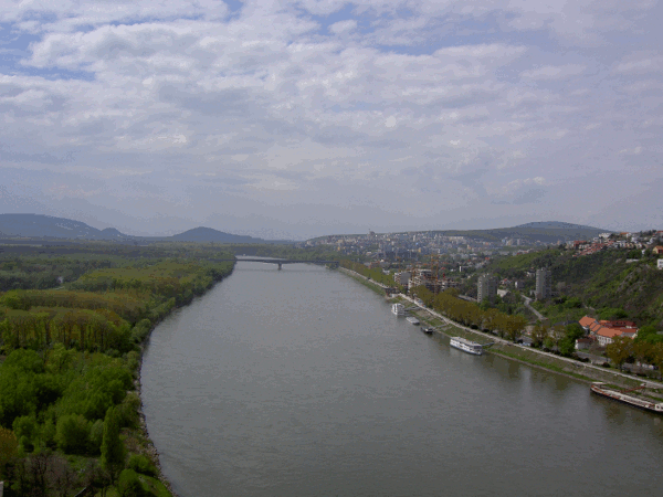 900.gif (132139 bytes)